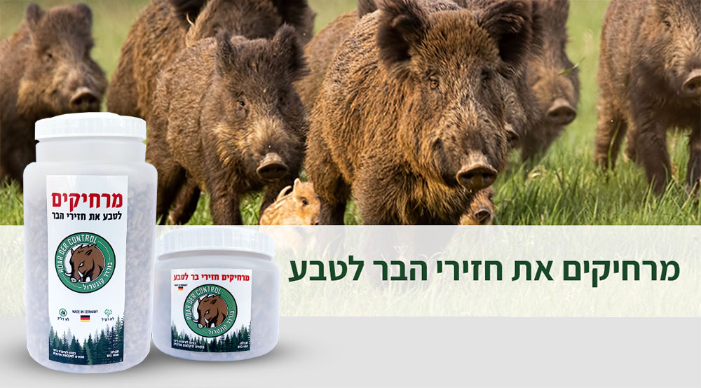 מרחיקים את חזירי הבר לטבע